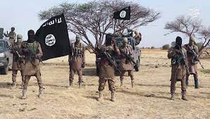 ISWAP: NSA confirms killing of Al-Barnawi’s successor, Malam Bako