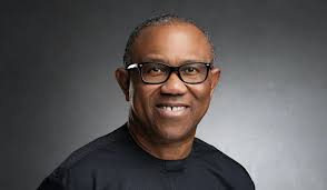 UPDATE: There Is Pressure On Me To Leave Nigeria, Says Peter Obi