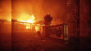 Wildfires Force Mass Evacuations in Los Angeles, Including Celebrities