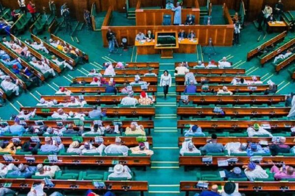 Reps Begin Debate on Tinubu’s 2024 Tax Reform Bills